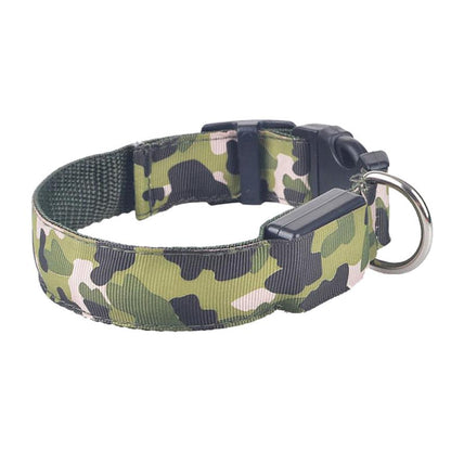 Camouflage LED Dog Collar — Light Up the Night Walk