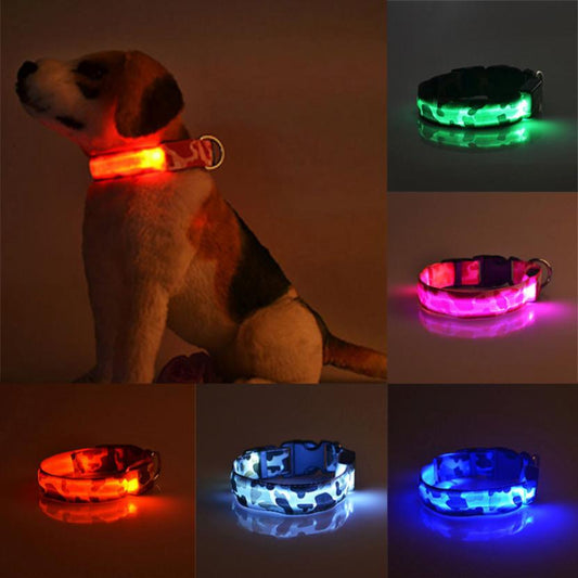 Camouflage LED Dog Collar — Light Up the Night Walk