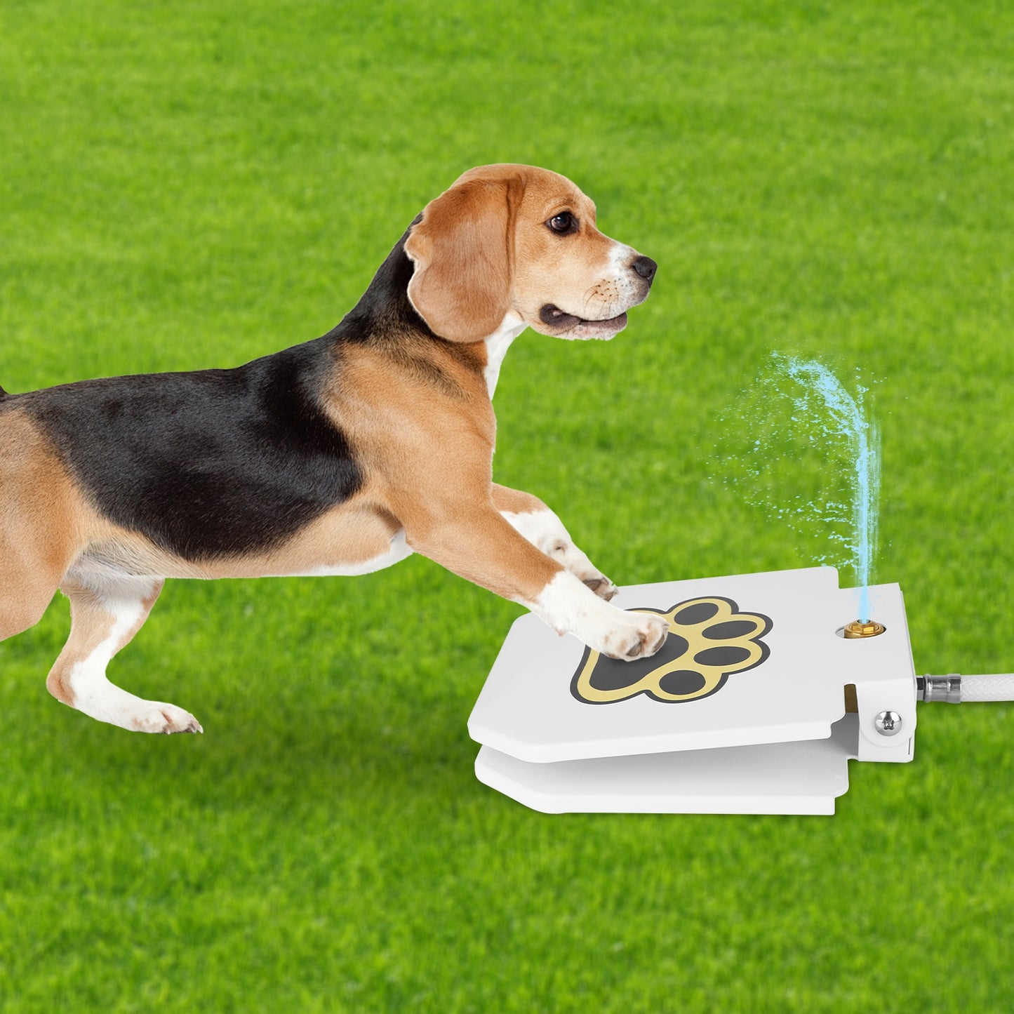 Step-On Dog Water Fountain — Outdoor Paw-Activated Sprinkler