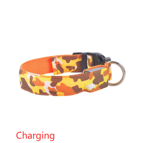 Camouflage LED Dog Collar — Light Up the Night Walk