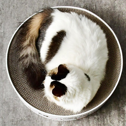 Cat Paw Disc Bowl — Slow Feed Pet Plate