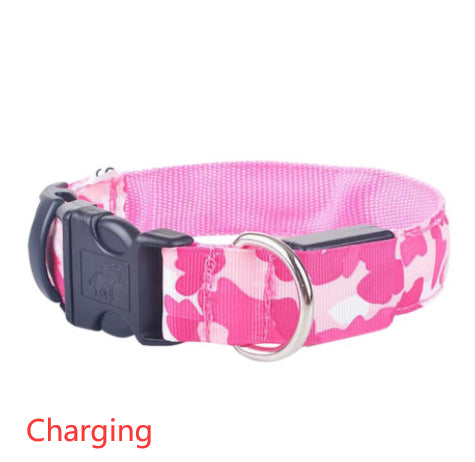 Camouflage LED Dog Collar — Light Up the Night Walk
