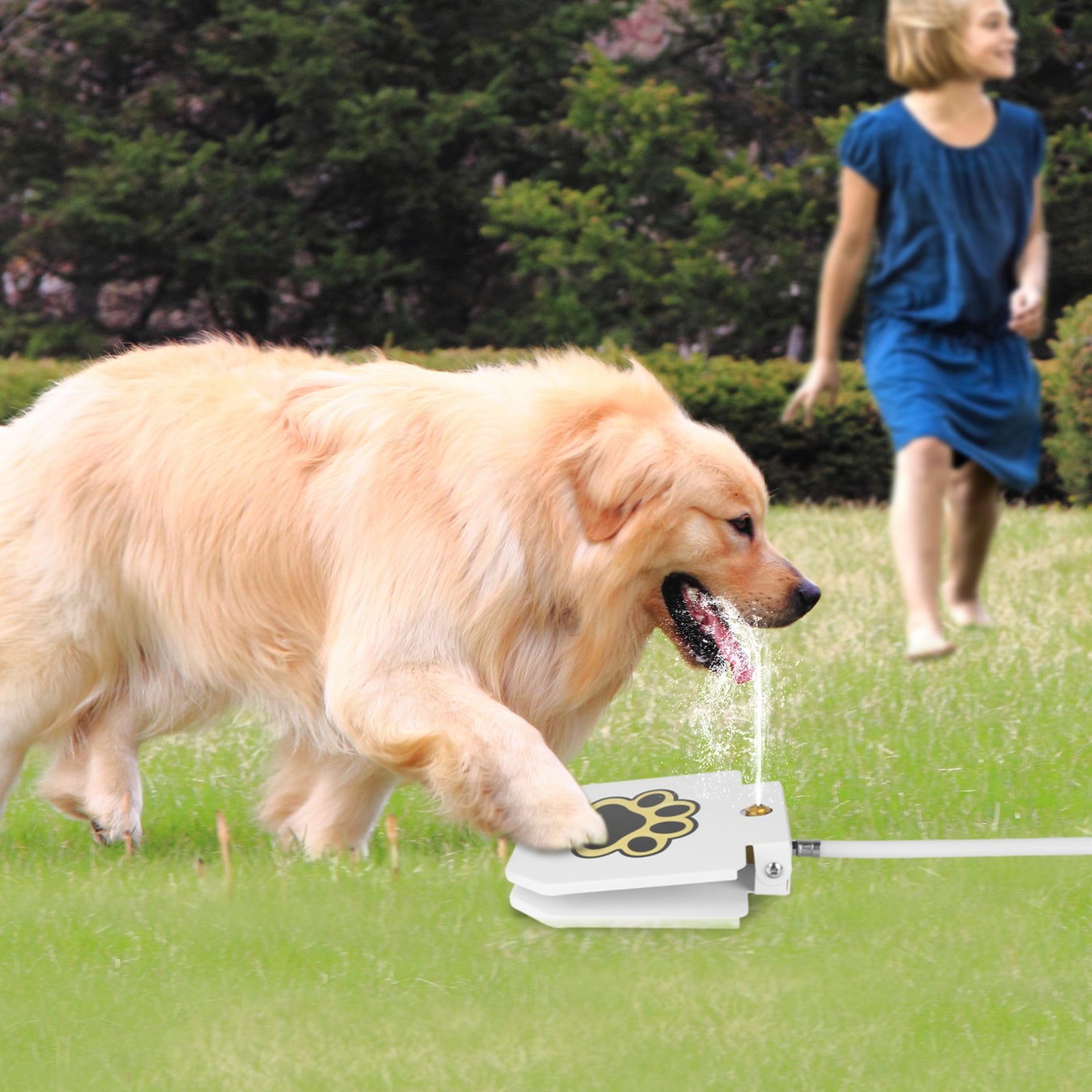 Step-On Dog Water Fountain — Outdoor Paw-Activated Sprinkler