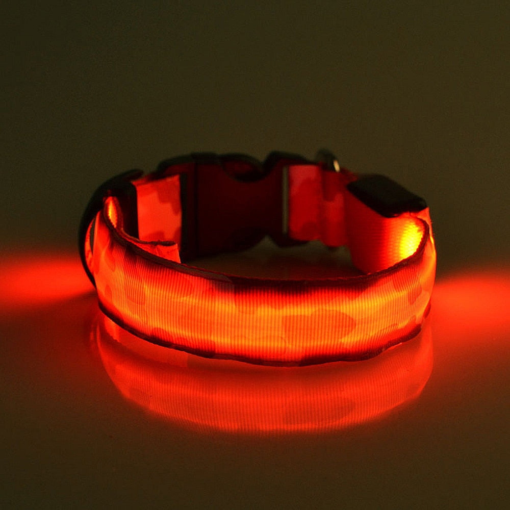 Camouflage LED Dog Collar — Light Up the Night Walk