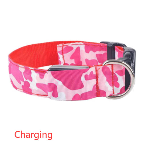 Camouflage LED Dog Collar — Light Up the Night Walk