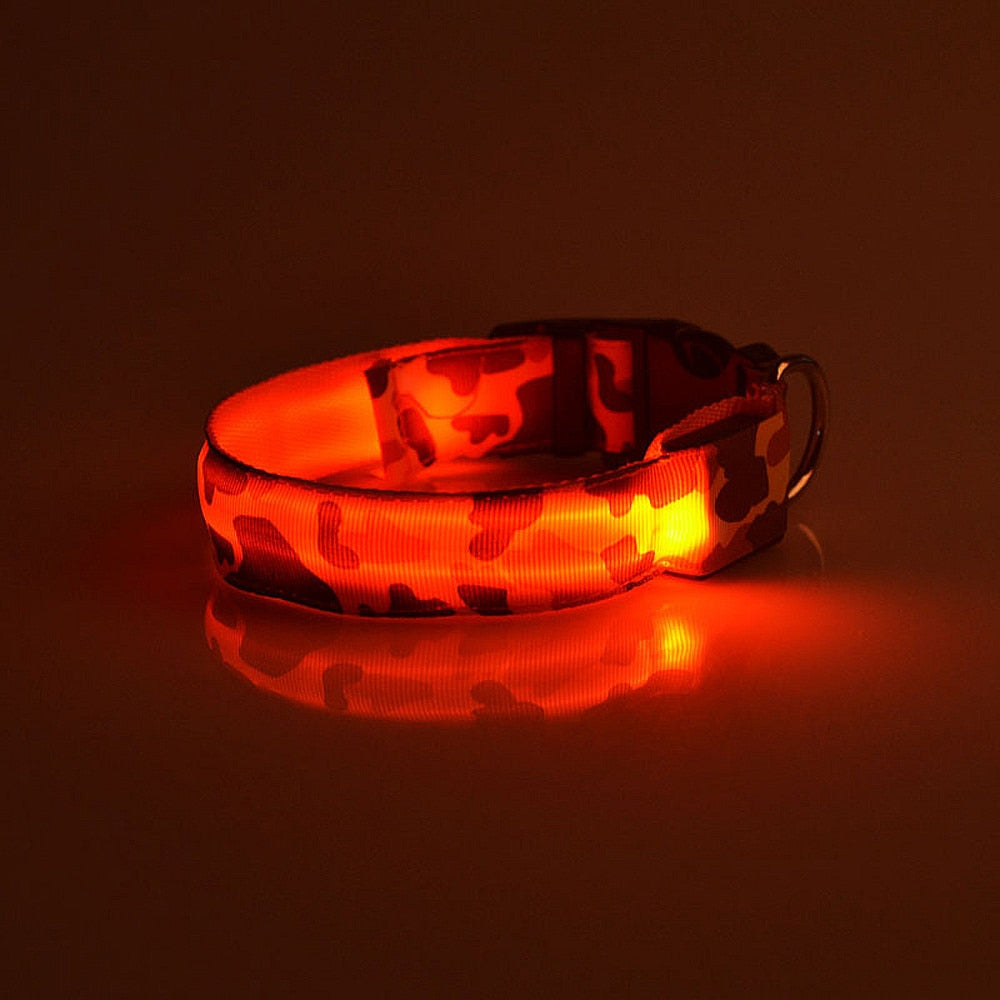 Camouflage LED Dog Collar — Light Up the Night Walk