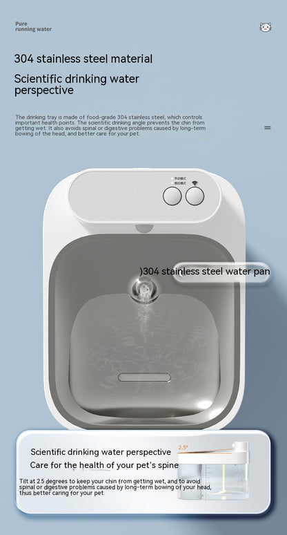 Automatic Cat Water Fountain with Loop Filtration